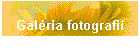Galéria fotografií