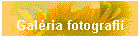 Galria fotografi