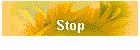 Stop